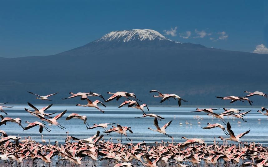 1. Chạm vào tuyết của Kilimanjaro, Tanzania:  Tới năm 2011, hơn 85% lượng băng trên đỉnh “Nóc nhà châu Phi” đã tan chảy, và phần còn lại cũng sẽ biến mất trong thập kỷ tới. Chinh phục ngọn núi cao nhất châu Phi không phải chuyện dễ, nhưng du khách sẽ sớm không còn được chiêm ngưỡng khung cảnh tuyết phủ độc đáo trên đỉnh Kilimanjaro.