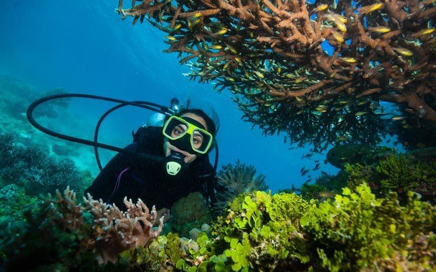 2. Lặn ở rạn san hô Great Barrier, Australia: Đây là cấu trúc sống lớn nhất thế giới, một thiên đường tuyệt diệu cho động vật biển, trải dài hơn 2.250 km ngoài khơi Australia. Theo kết quả nghiên cứu, lượng san hô ở Great Barrier đã giảm hơn 50% trong 3 thập kỷ qua. Với biến đổi khí hậu, bão tố và quyết định cho đổ bùn cát nạo vét gần đó của chính phủ, nhiều nhà khoa học dự đoán nơi này sẽ mất đi sự trù phú trong một khoảng thời gian không xa.
