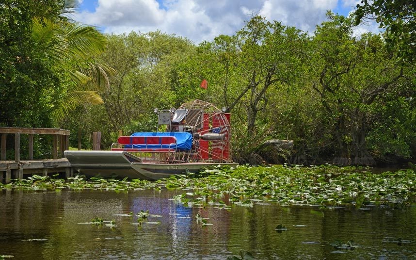5. Khám phá đầm lầy Everglades, Florida, Mỹ: Everglades là một đầm lầy rộng lớn với hệ động thực vật phong phú, trong đó có hơn 350 loài chim. Tuy nhiên, vùng đất này đang nằm trong danh sách bị đe dọa của UNESCO do ô nhiễm, khiến môi trường sống bị phá hủy và lượng thủy sinh giảm mạnh.