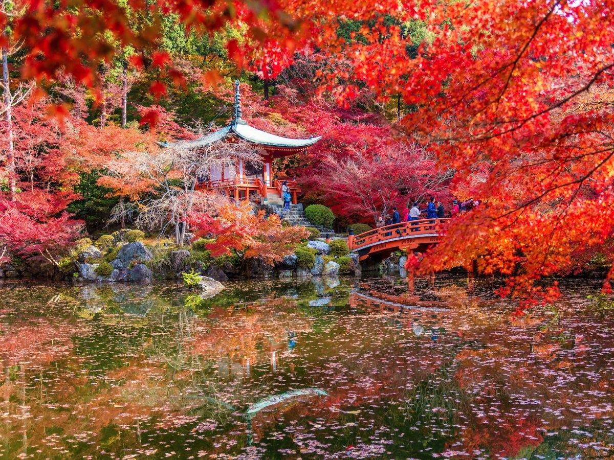 Kyoto, Nhật Bản: Đây là năm thứ 2 liên tục Kyoto được vinh danh là thành phố tuyệt vời nhất thế giới bởi Travel + Leisure dựa theo bình chọn của độc giả. Thành phố này mang đậm dấu ấn lịch sử, với nhiều đền miếu cổ, các khu chợ, công viên xinh đẹp.