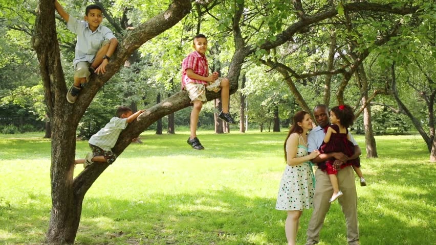 Oshawa, Ontario: Người dân không được phép trèo lên các cây xanh thuộc sở hữu của thành phố, như trong công viên hay trên đường đi. Ảnh: Shutterstock.