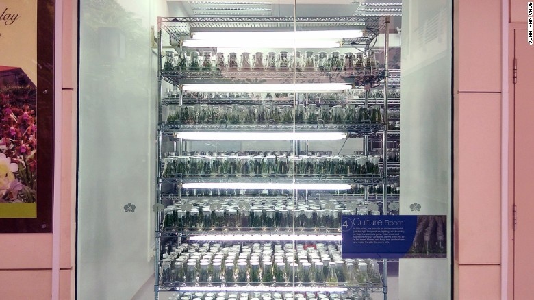 Phòng nhân giống cây trồng nằm trong khuôn viên vườn có vai trò quan trọng trong các nghiên cứu quốc tế.