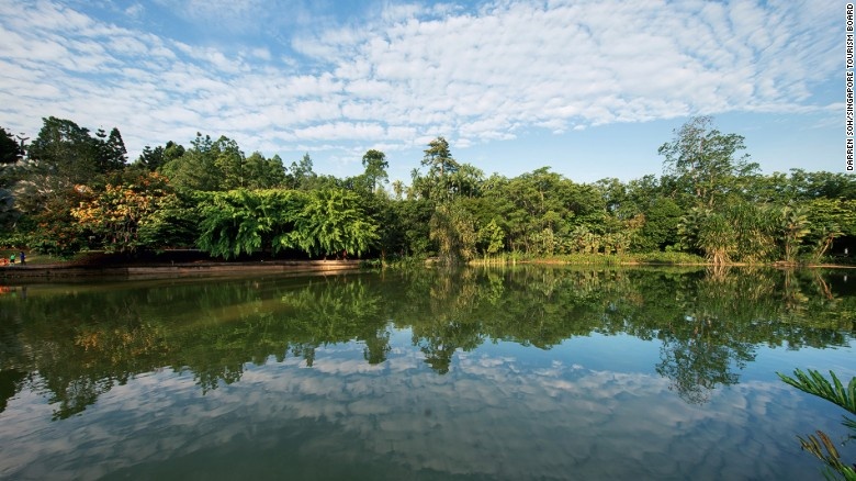 Hơn 4,4 triệu du khách đến với nơi này mỗi năm để chiêm ngưỡng các loài thực vật độc đáo.