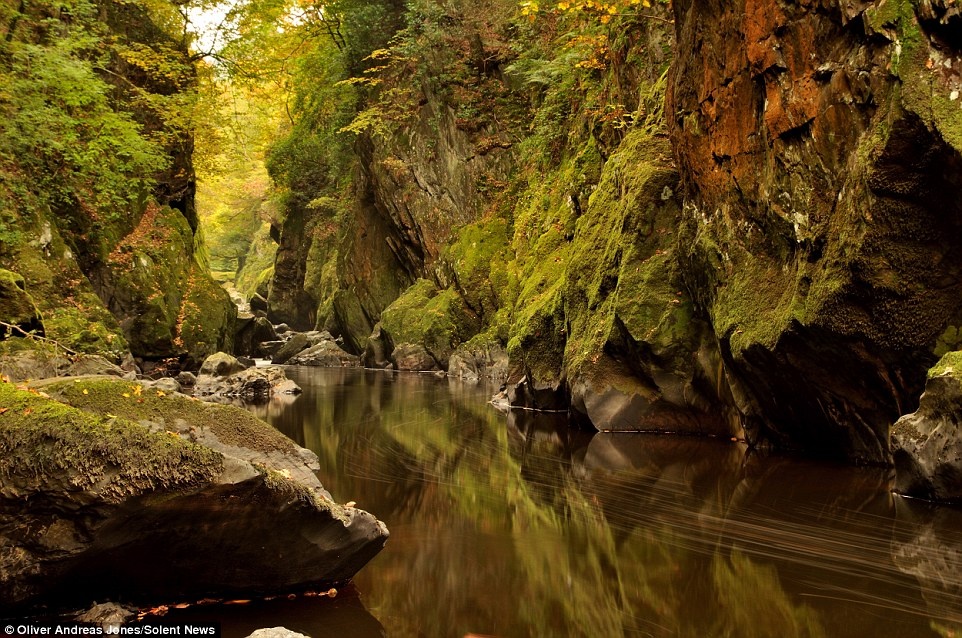 Tài năng của Oliver đã nhanh chóng được phát hiện. Cậu được mời làm giám khảo cuộc khi ảnh dành cho thanh thiếu niên và trở thành đại diện cho một thương hiệu.