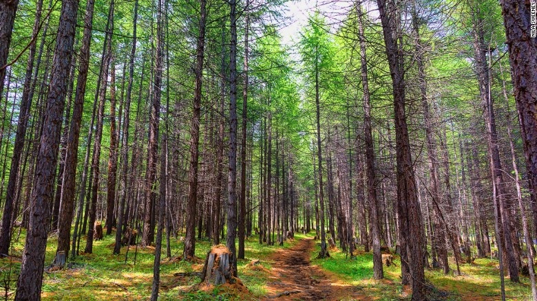 Người Dukha tới hồ Khovsgol mỗi mùa hè để kiếm tiền sinh tồn trong mùa đông khắc nghiệt. Tuy nhiên, trong tương lai lối sống cổ xưa của họ sẽ khó lòng tồn tại. 