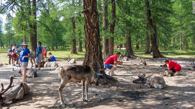 Những người Dukha tới hồ Khovsgol đối mặt với chỉ trích rằng khu vực này quá ấm cho tuần lộc, và rặng họ đang hành hạ chúng để kiếm lợi nhuận. Bà Enkhatuya khẳng định: “Chúng tôi có mối quan hệ sâu sắc với tuần lộc. Chúng giống như gia đình. Chúng tôi sẽ không bao giờ hành hạ chúng. Tôi có thể khẳng định điều đó”.
