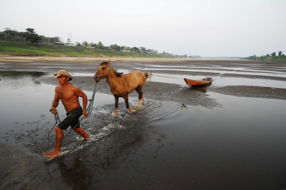 Năm ngoái, ảnh chụp vệ tinh của NASA cho thấy diện tích rừng bị chặt phá đã tăng 187% trong năm qua.