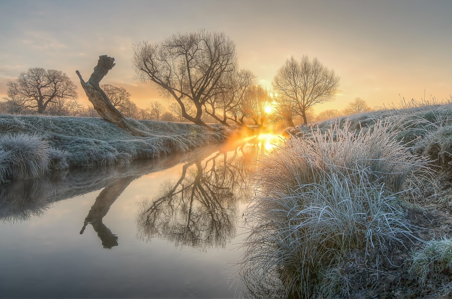 Sương sớm ở Richmond, London, Anh. Ảnh: Jon Sparks.