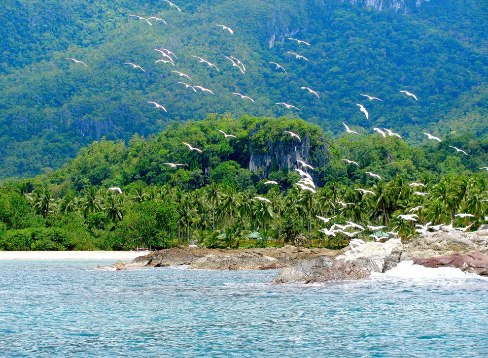 4. Puerta Princesa, Phillippines: Vẻ đẹp hoang sơ của những bãi biển Puerta Princesa không bút nào tả xiết. Ngoài những hồ bơi thiên nhiên tuyệt đẹp và các dải cát bình yên, nơi này còn có ẩm thực hấp dẫn.