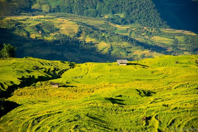 Y Ty vao top kho bau bi mat cua du lich chau A hinh anh