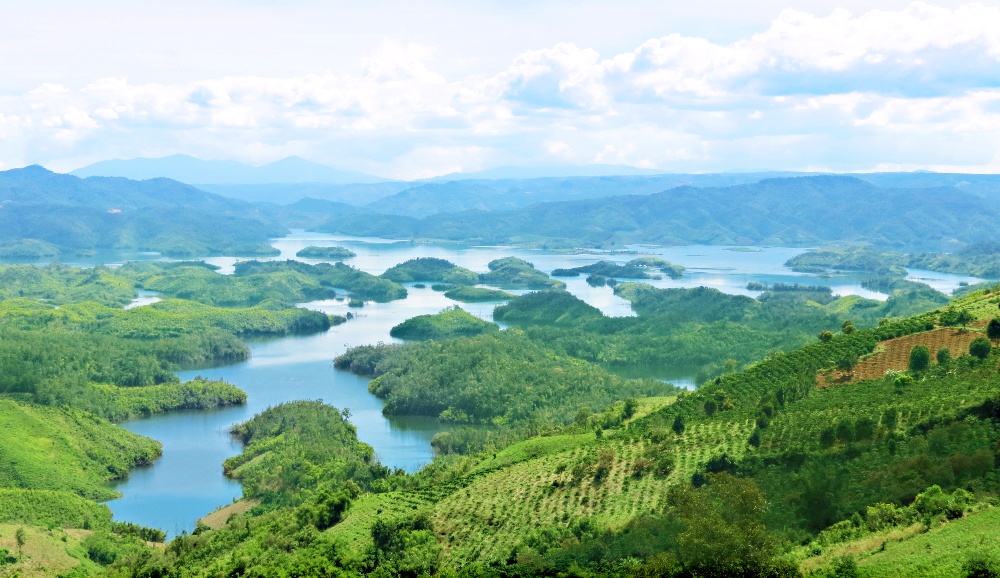 Diem den ly tuong nam 2016 trong mat phuot thu Viet (phan 2) hinh anh