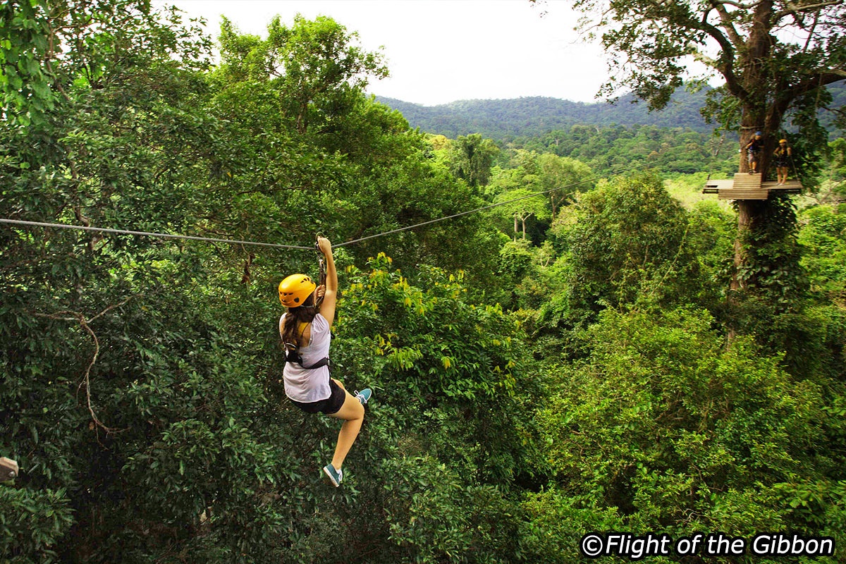 Trượt zipline ảnh 3 Truot zipline anh 3
