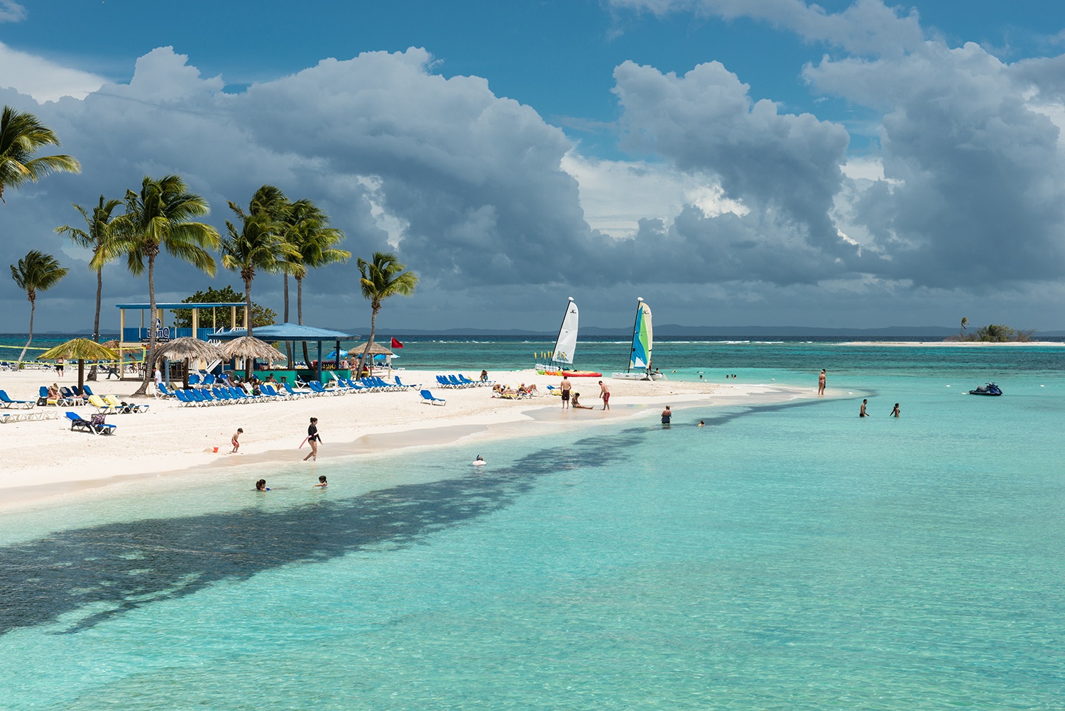 Virus Zika ảnh 3 Virus Zika anh 3