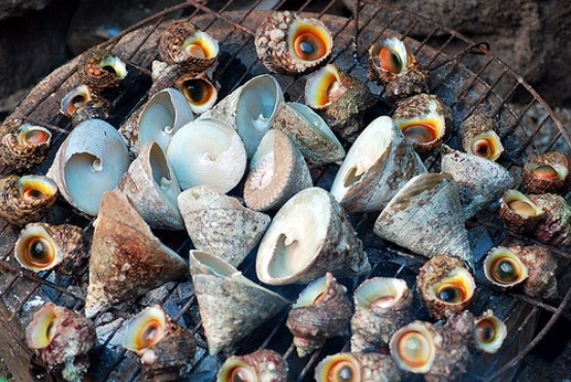 Đảo Phú Quý Bình Thuận ảnh 2 Dao Phu Quy Binh Thuan anh 2