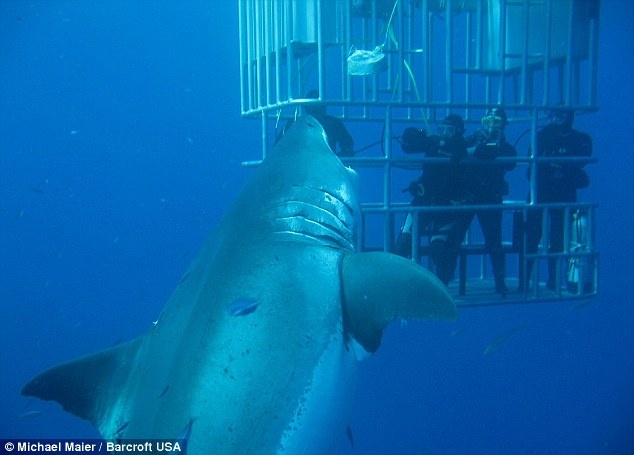 Du lịch mạo hiểm ảnh 13 Du lich mao hiem anh 13