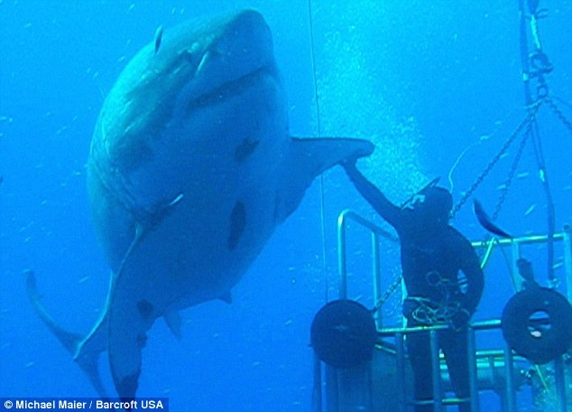 Du lịch mạo hiểm ảnh 14 Du lich mao hiem anh 14