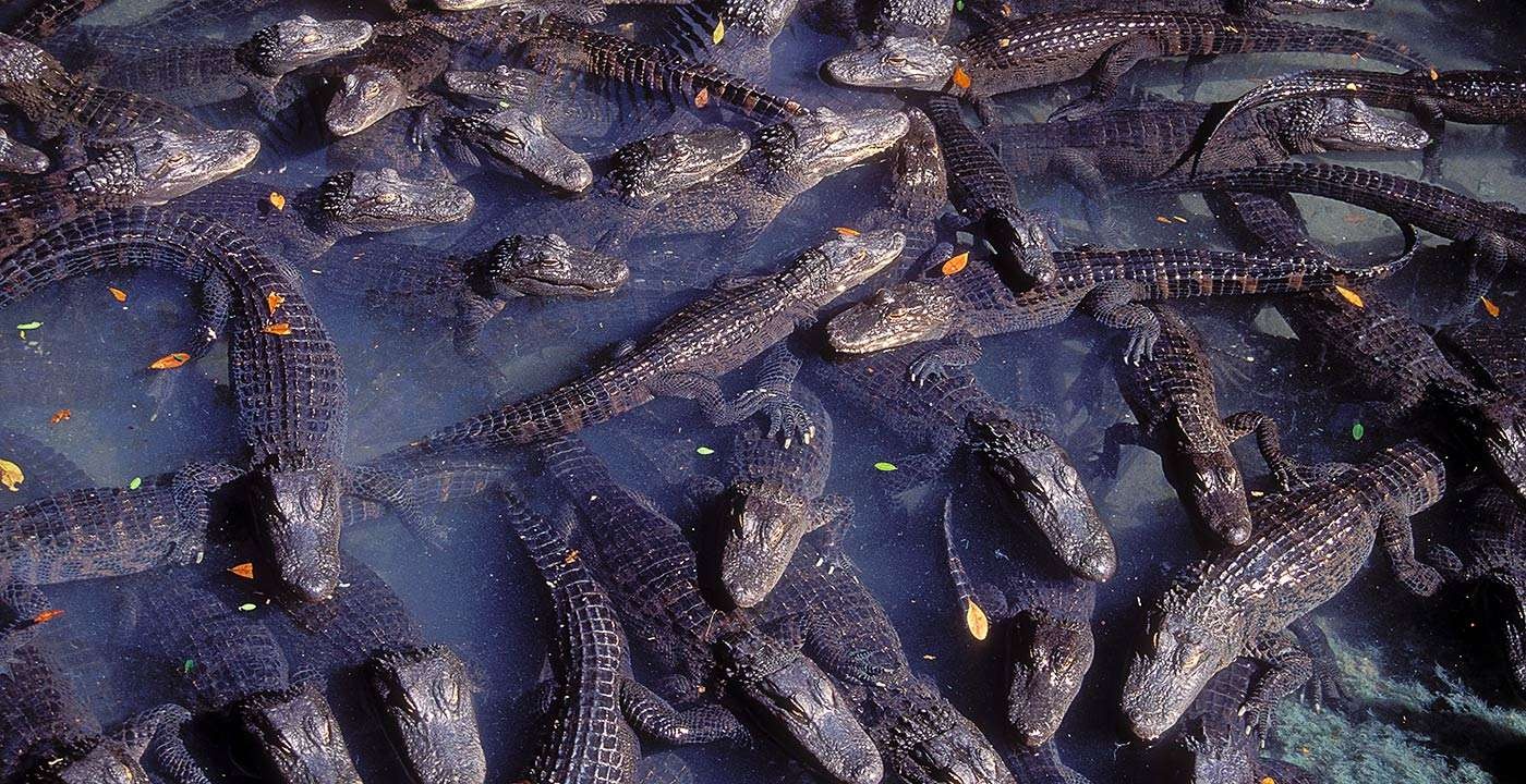 Du lịch mạo hiểm ảnh 6 Du lich mao hiem anh 6