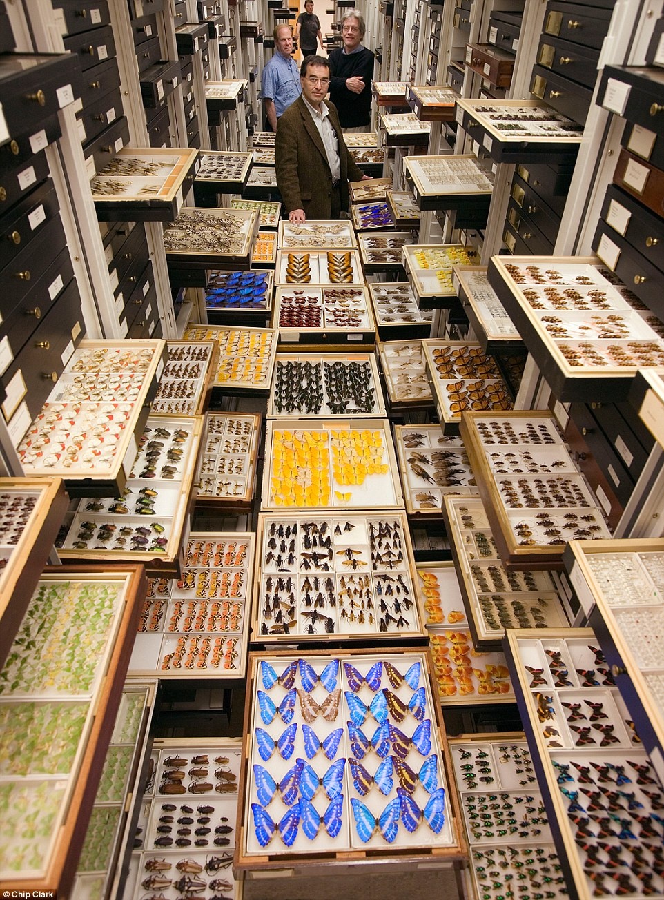 Bao tang lich su tu nhien My anh 1