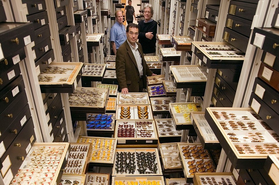 Bo suu tap bi mat trong bao tang Lich su tu nhien My hinh anh