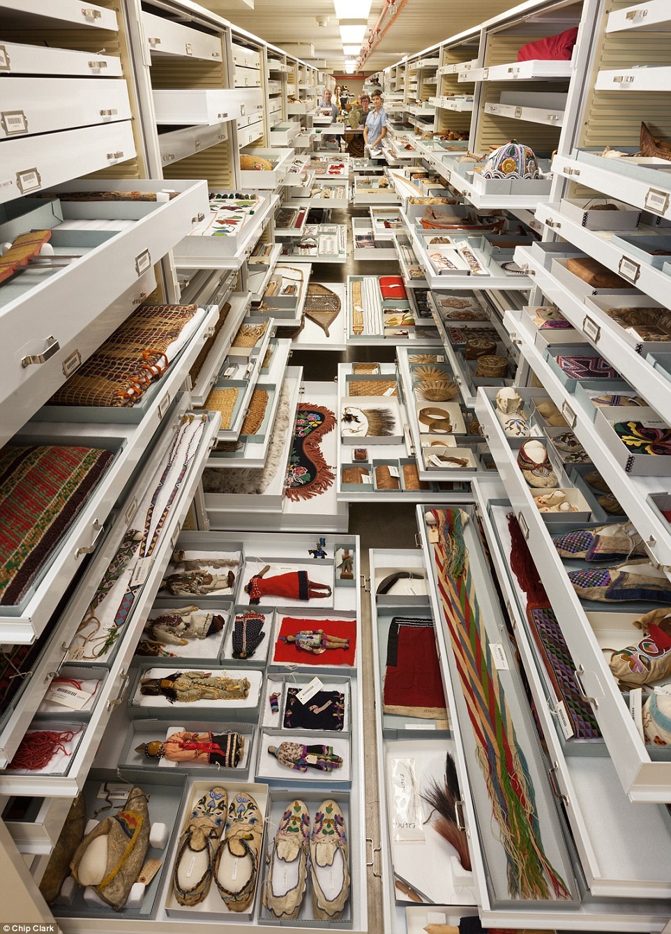 Bao tang lich su tu nhien My anh 3