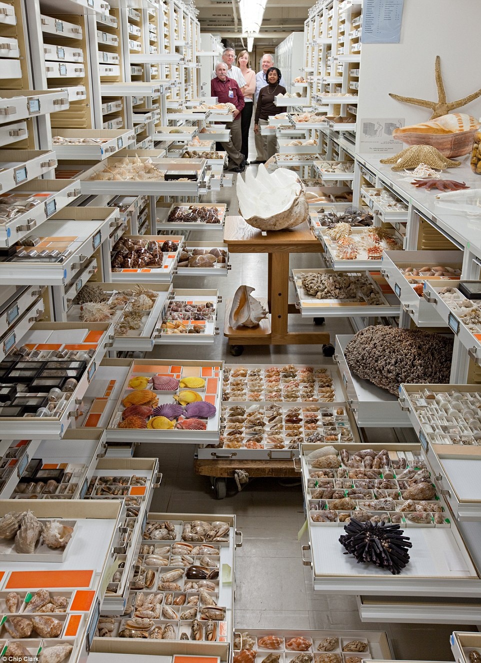 Bao tang lich su tu nhien My anh 8