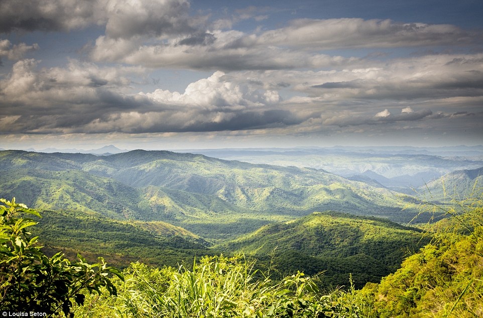 Bộ tộc lồng đĩa trong môi ảnh 11 Bo toc long dia trong moi anh 11