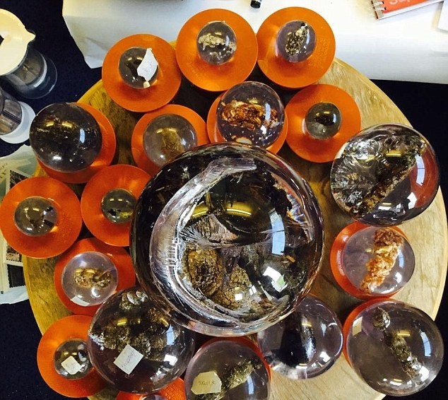 Bao tang trung bay phan doc nhat vo nhi o Anh hinh anh