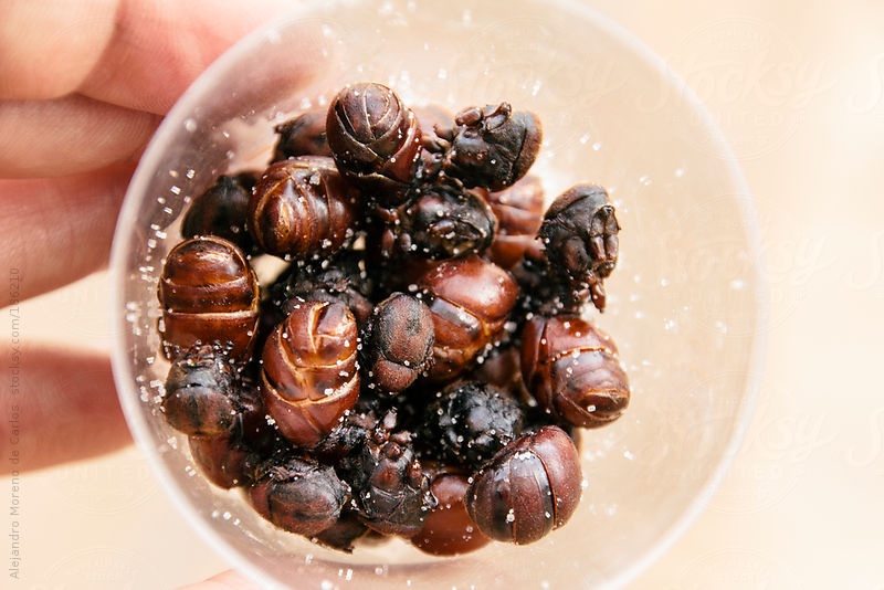 Mon an via he anh 11