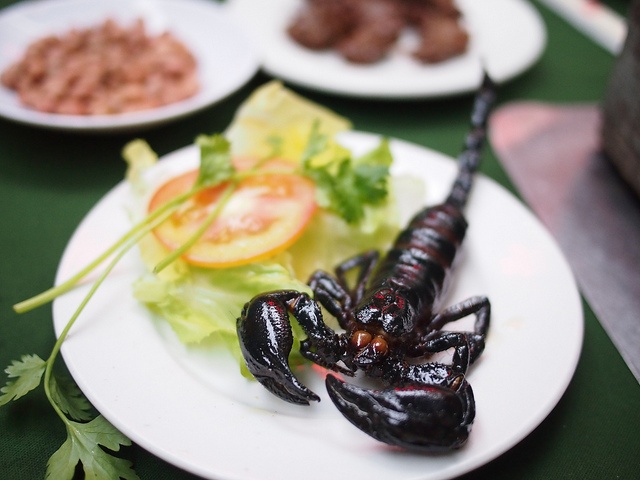 Nhung mon an via he la nhat the gioi hinh anh