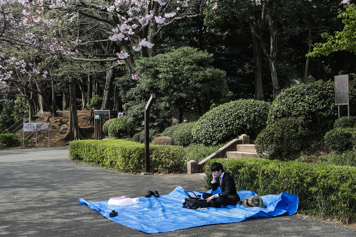 Le hoi hoa anh dao anh 10