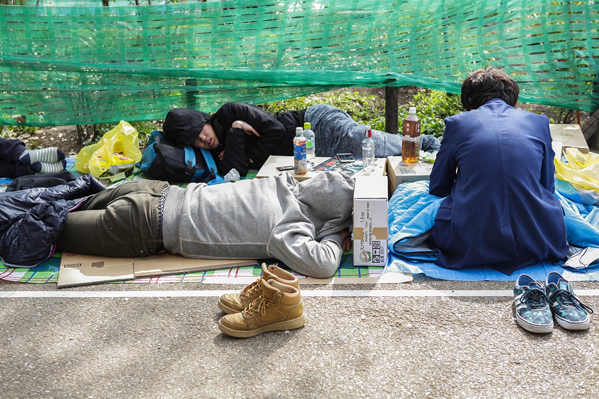 Le hoi hoa anh dao anh 11