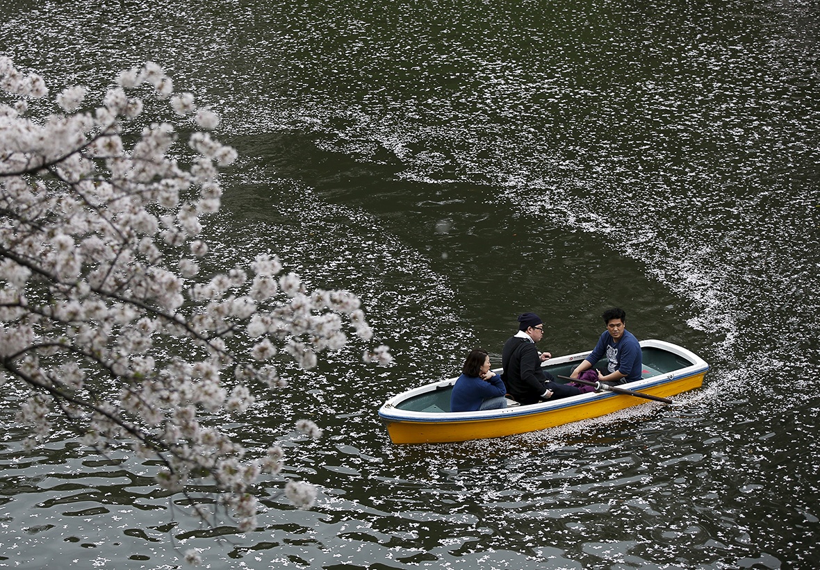 Le hoi hoa anh dao anh 4