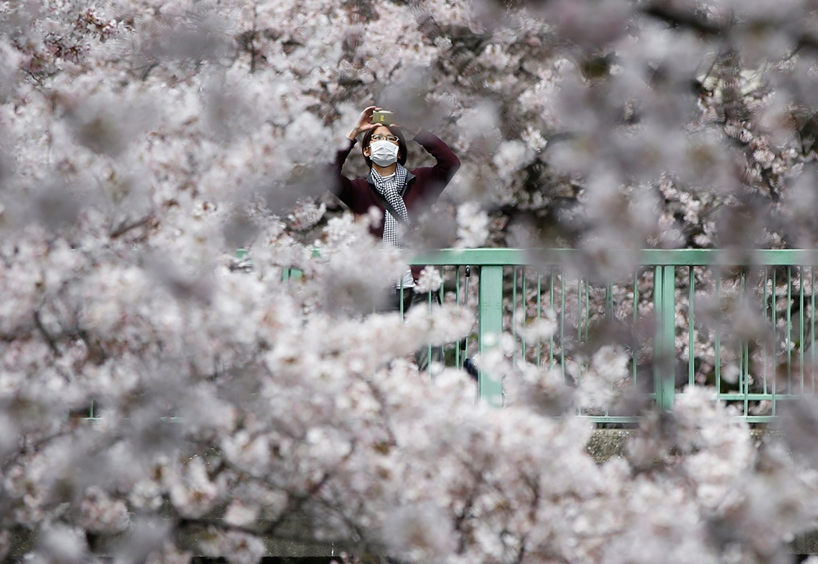 Le hoi hoa anh dao anh 5