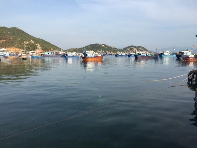 Kinh nghiệm du lịch Cam Ranh ảnh 1 Kinh nghiem du lich Cam Ranh anh 1