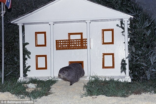 Le hoi tren the gioi anh 5