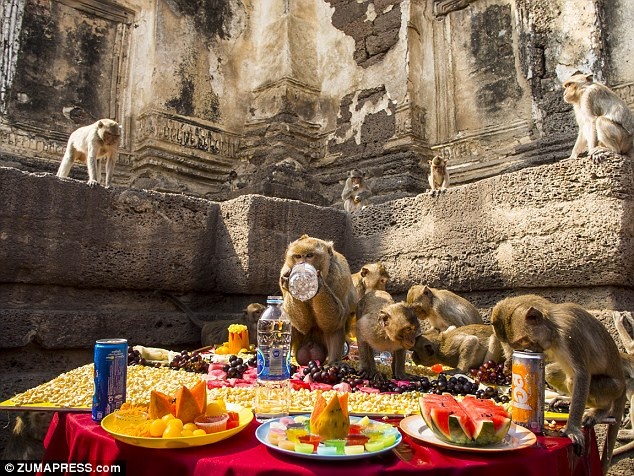 Le hoi tren the gioi anh 6