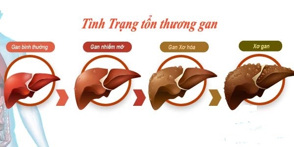 7 tac hai do lam dung khang sinh hinh anh