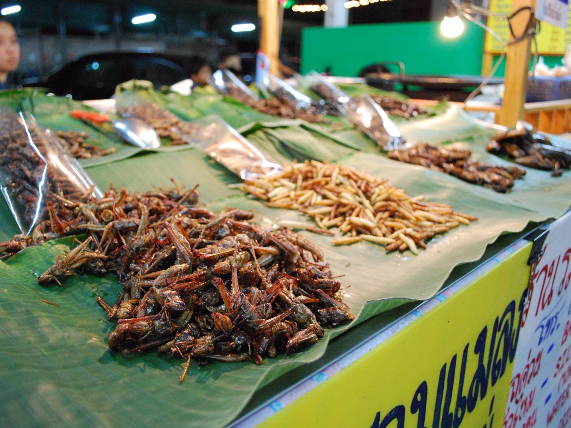 Món ăn lạ ảnh 1 Mon an la anh 1