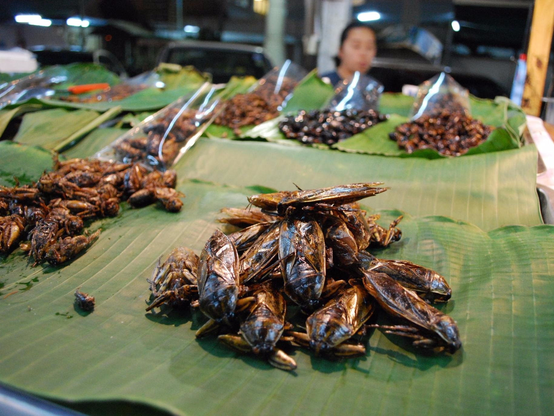 Món ăn lạ ảnh 2 Mon an la anh 2