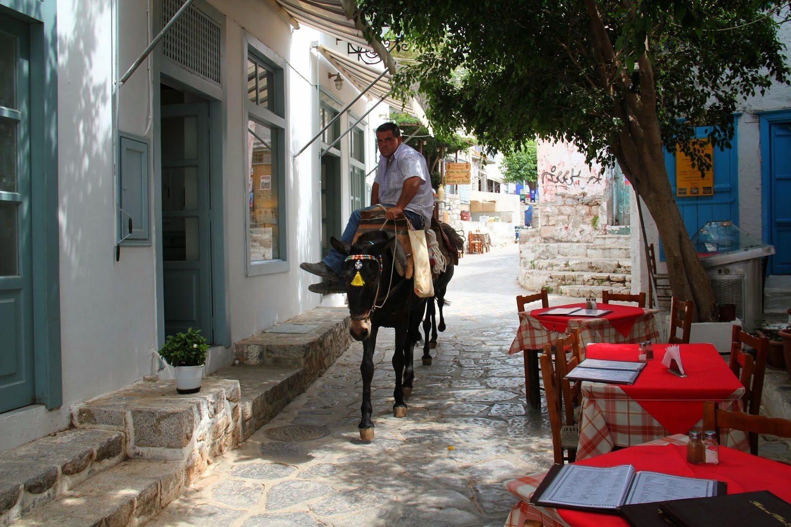 Phố đi bộ ảnh 5 Pho di bo anh 5