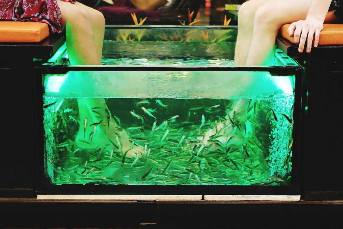 Du lich Thai Lan anh 13