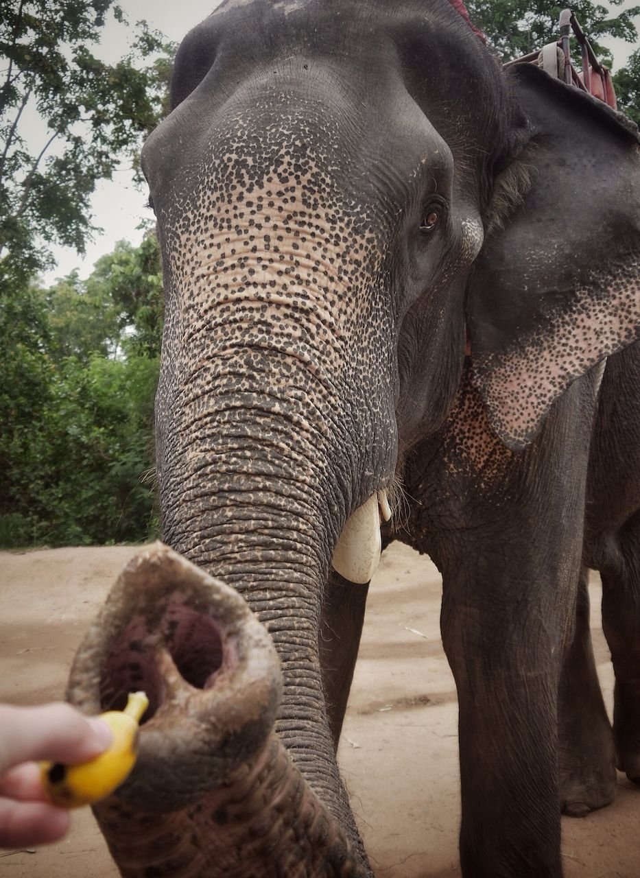 Du lich Thai Lan anh 7