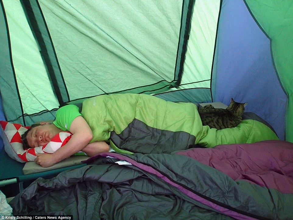 Mèo đi du lịch ảnh 12 Meo di du lich anh 12