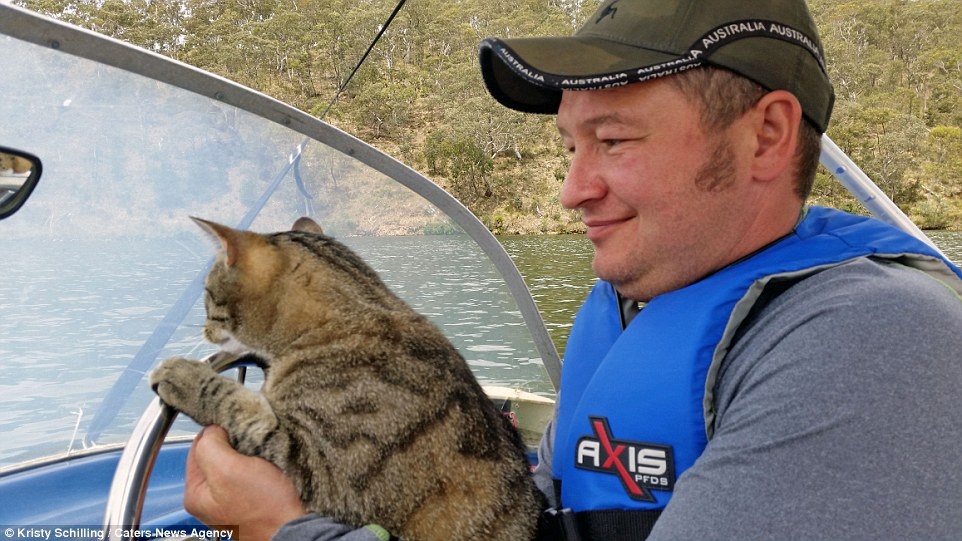 Mèo đi du lịch ảnh 3 Meo di du lich anh 3