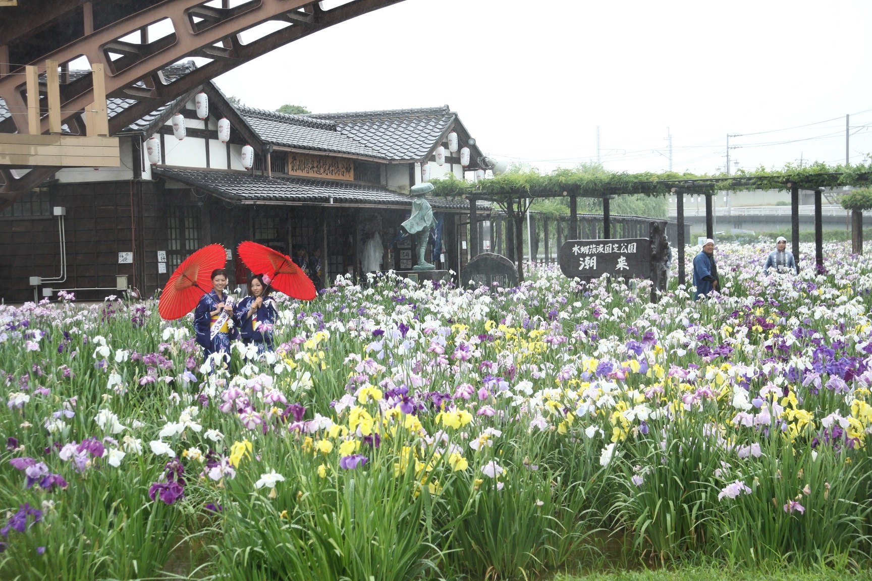 Le hoi hoa dien vi Nhat Ban anh 7