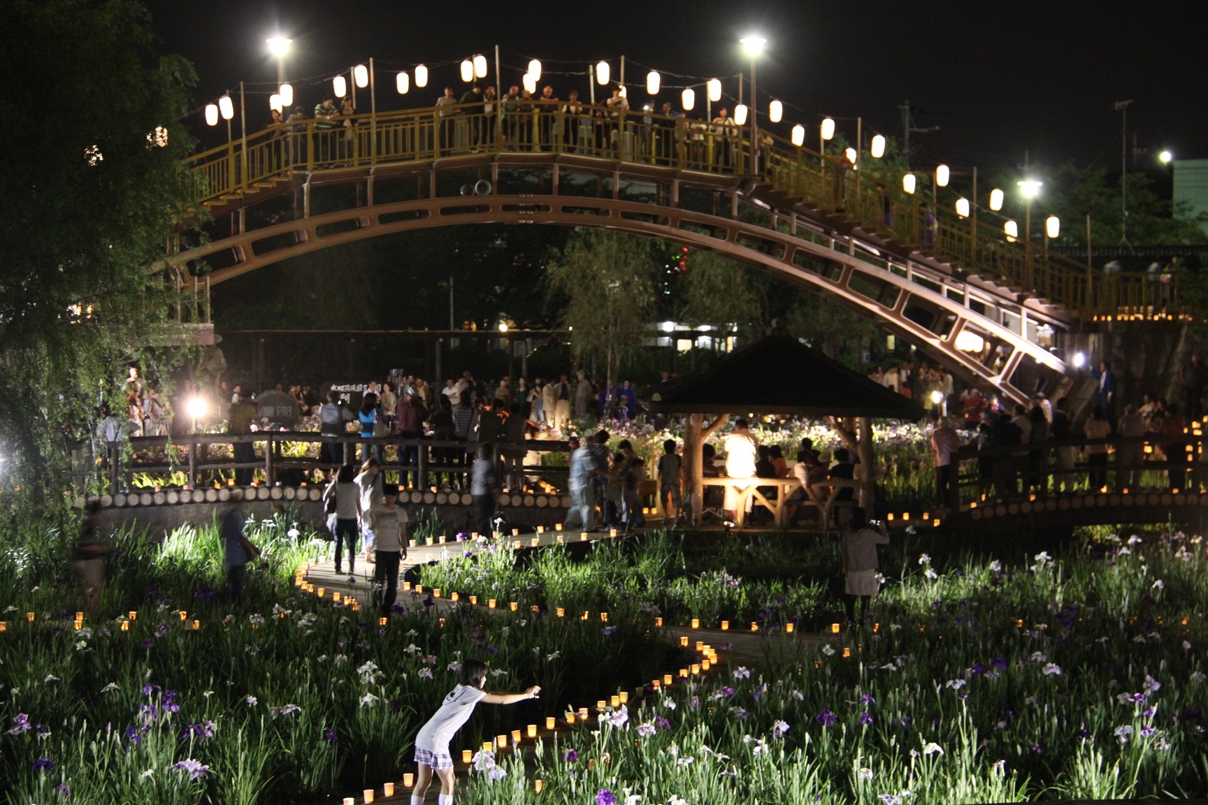 Le hoi hoa dien vi Nhat Ban anh 8