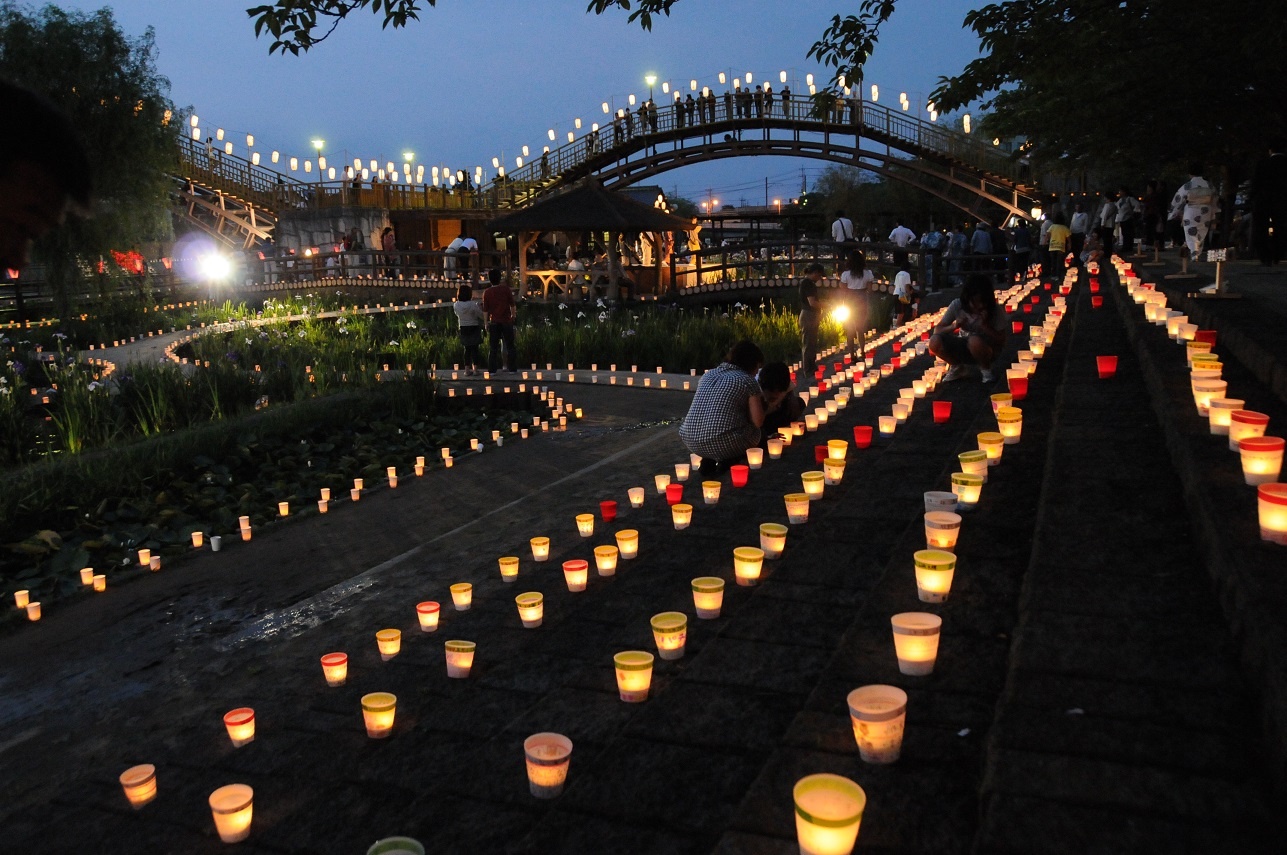 Le hoi hoa dien vi Nhat Ban anh 11