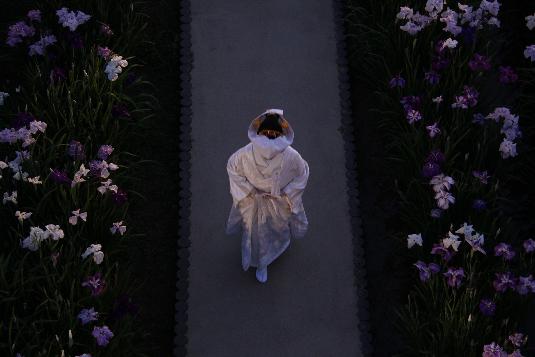 Le hoi hoa dien vi Nhat Ban anh 14