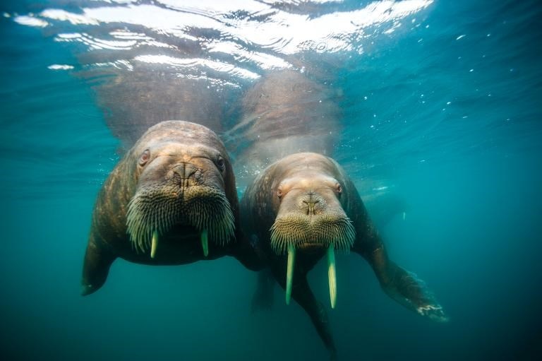 Cac buc anh ve bien an tuong trong Ngay Dai duong The gioi hinh anh