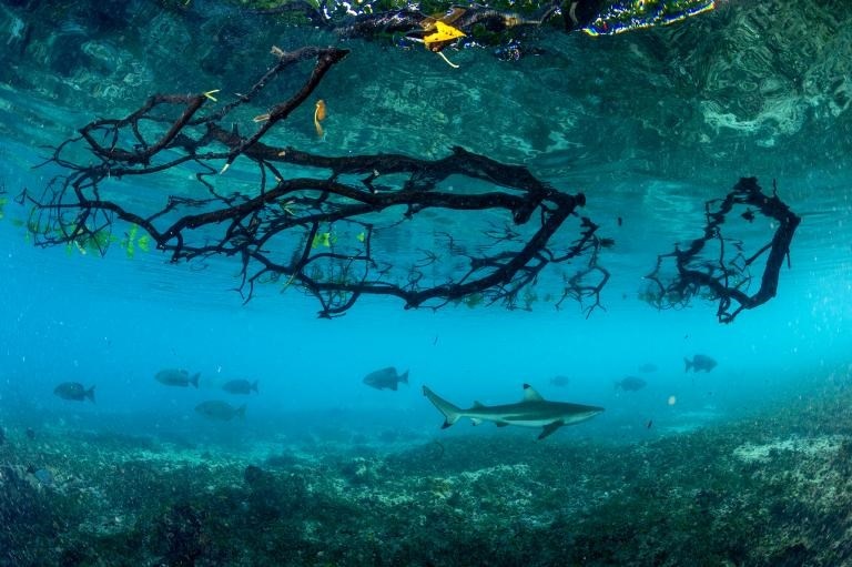 Ngay Dai duong anh 6